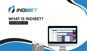 What is Indibet